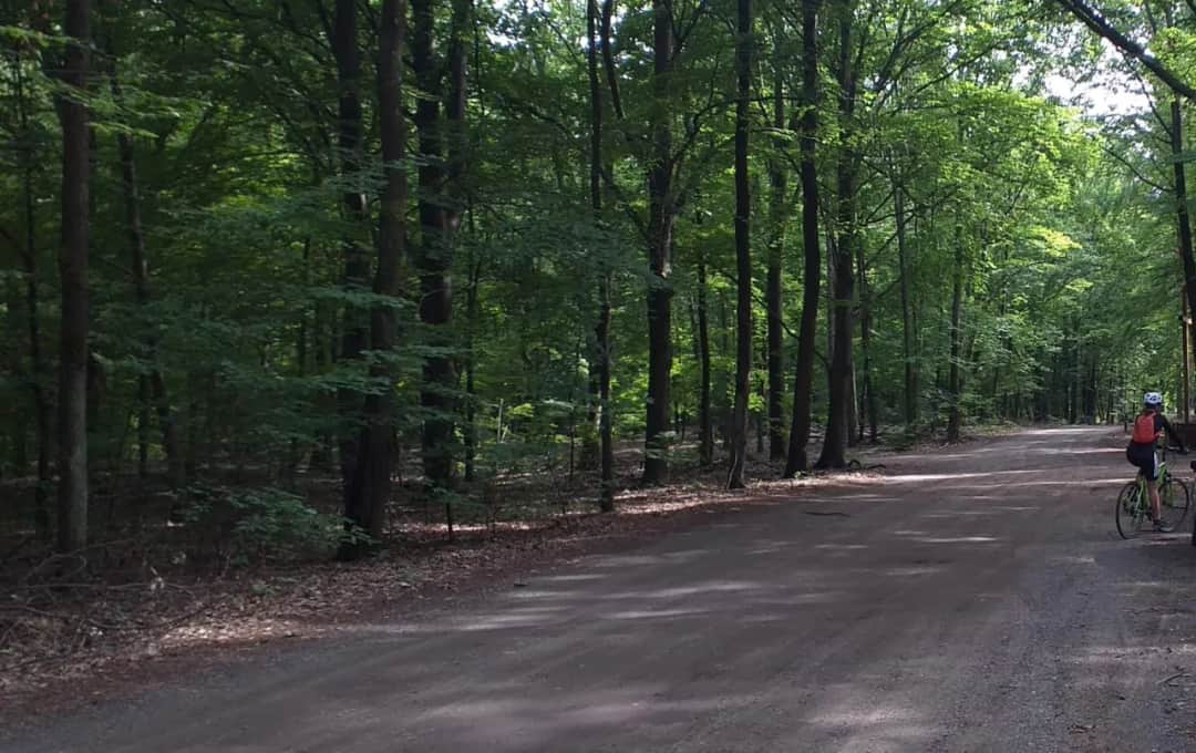 Najlepsze trasy rowerowe w Rybniku – odkryj ukryte szlaki