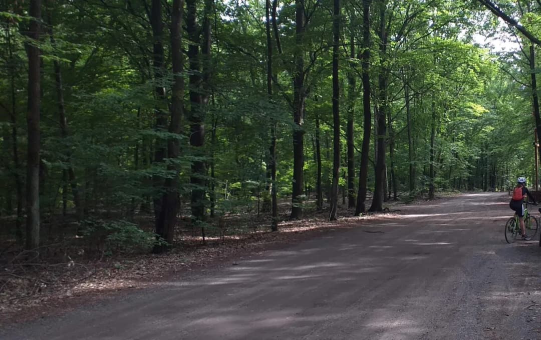 Najlepsze trasy rowerowe w Rybniku – odkryj ukryte szlaki