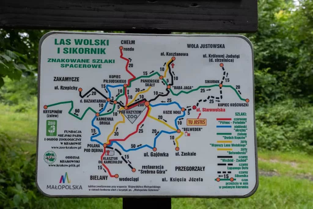 Najlepsze trasy rowerowe w Lesie Wolskim – odkryj swoje ulubione szlaki