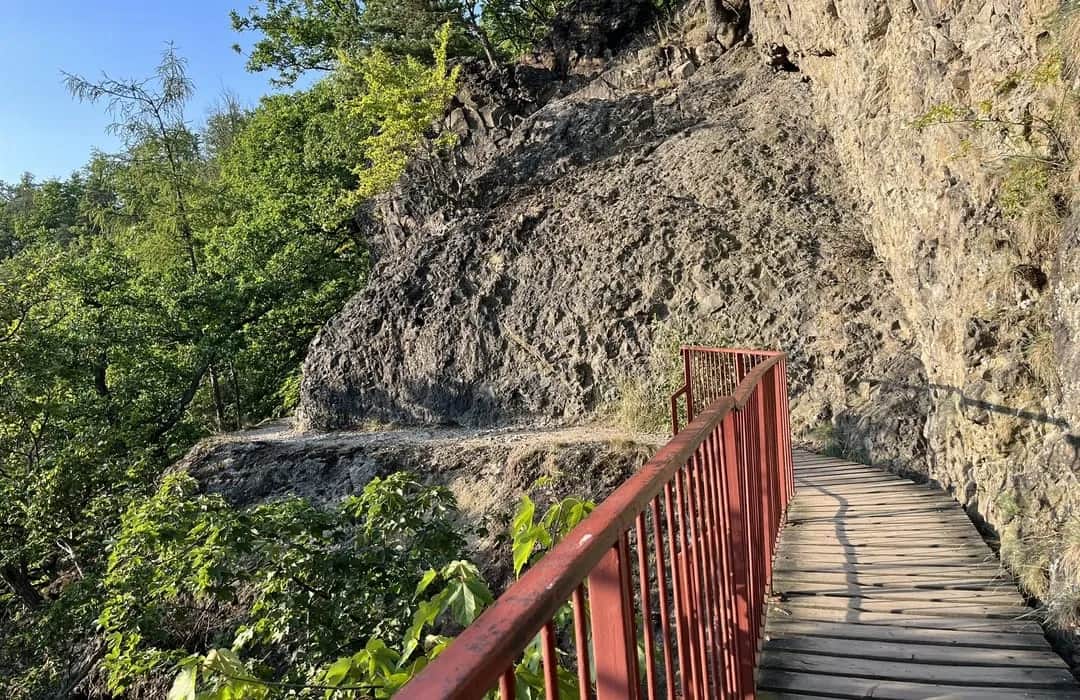 Trasy rowerowe Legnica: odkryj najlepsze szlaki na każdą umiejętność