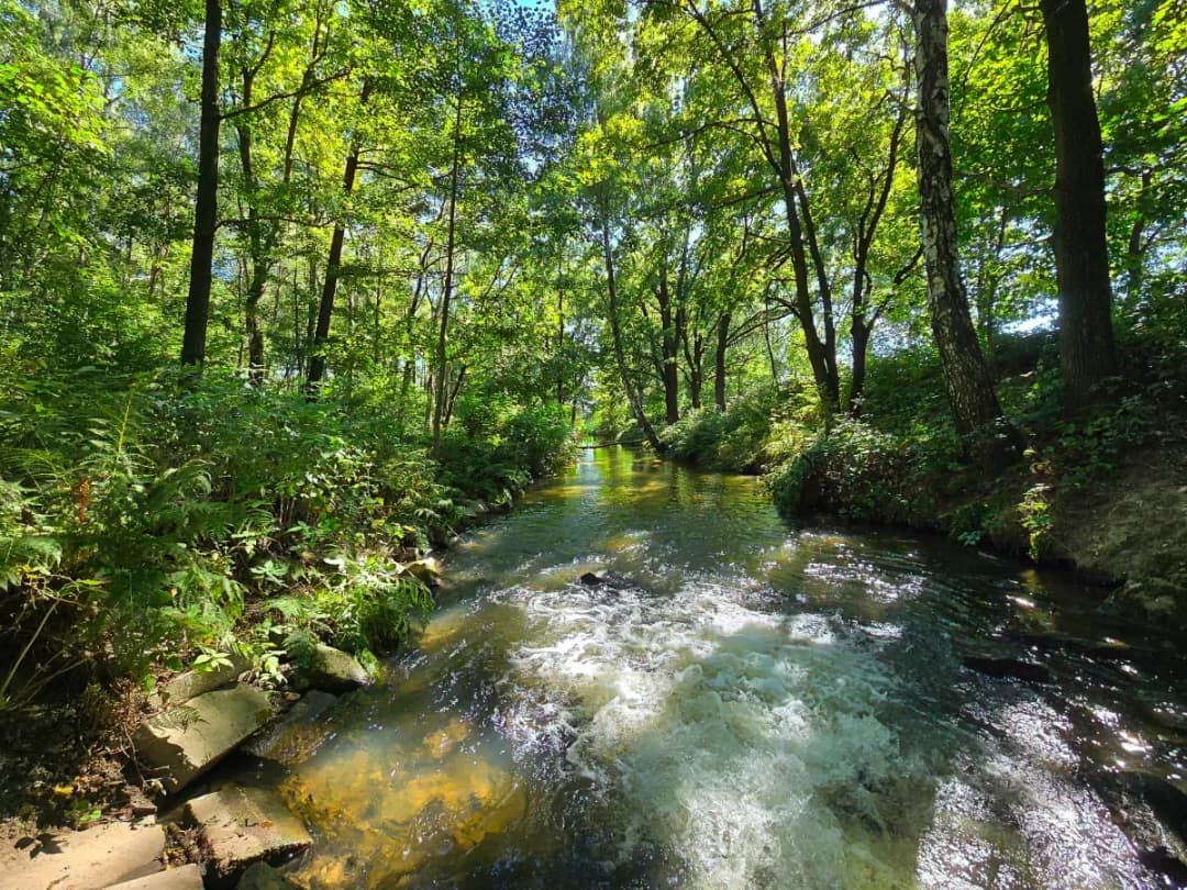 Trasa rowerowa wokół jeziora goczałkowickiego - poznaj jej tajemnice i atrakcje