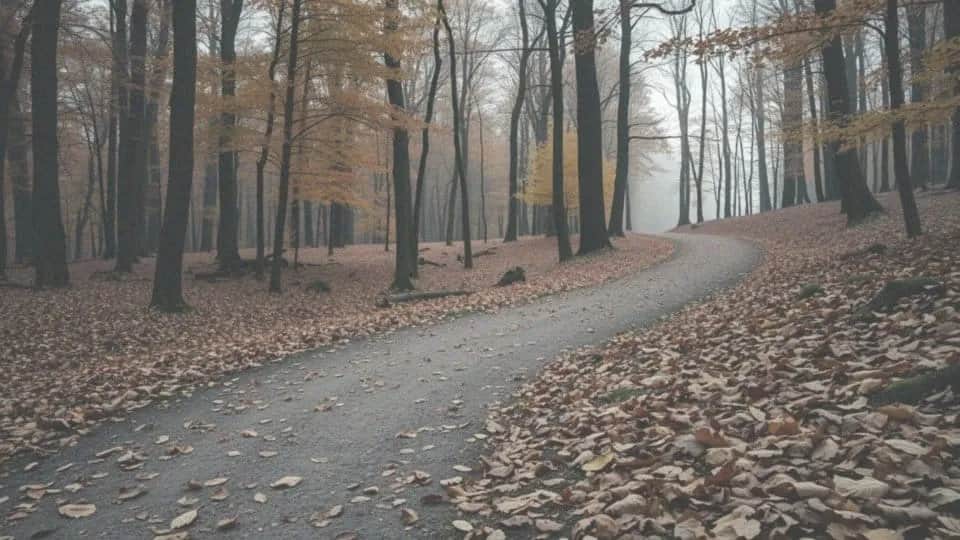 Szybki marsz czy bieganie - co wybrać dla lepszej kondycji?