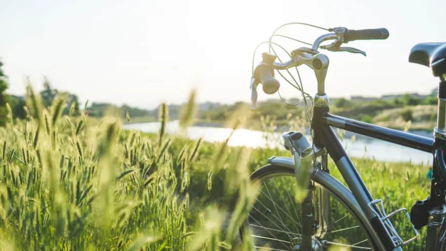 Wiślana trasa rowerowa Małopolska - odkryj najpiękniejsze atrakcje