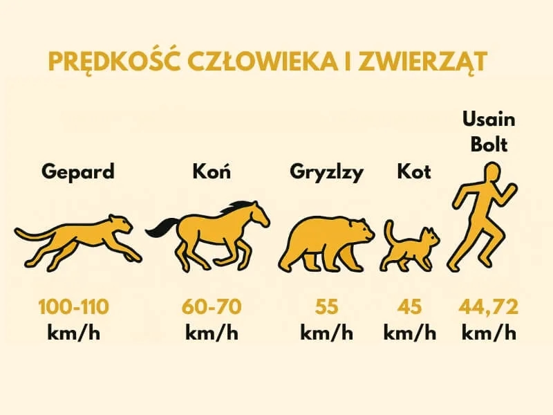 Jak szybko biega człowiek? Zaskakujące fakty o prędkości biegu